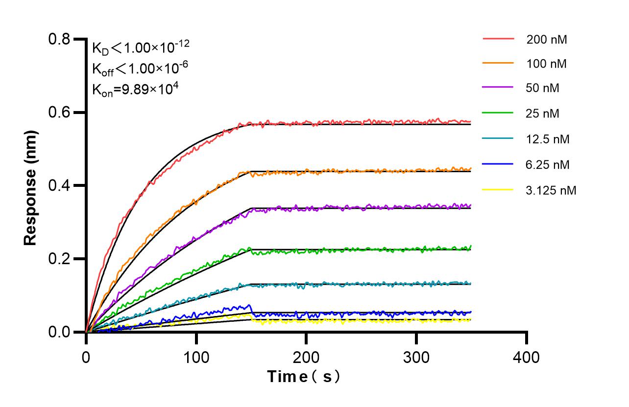 Affinity and Kinetic Characterization of 86883-1-RR Affinity and Kinetic Characterization of 86883-1-RR