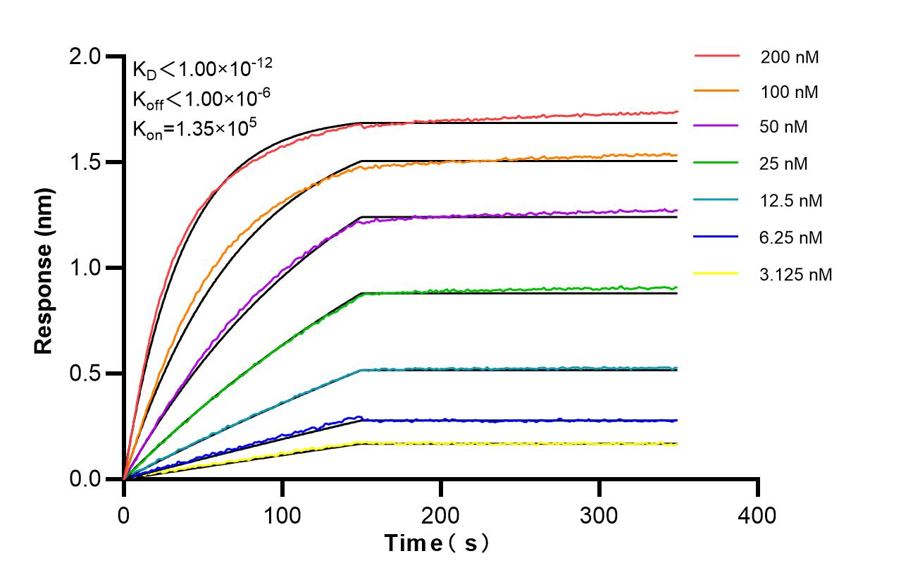 Affinity and Kinetic Characterization of 86895-1-RR Affinity and Kinetic Characterization of 86895-1-RR