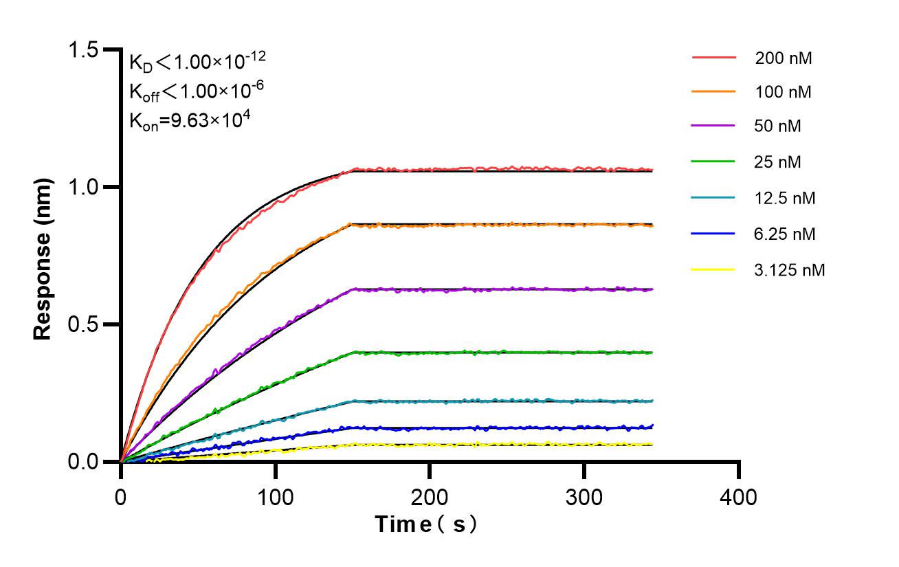 Affinity and Kinetic Characterization of 86910-3-RR
