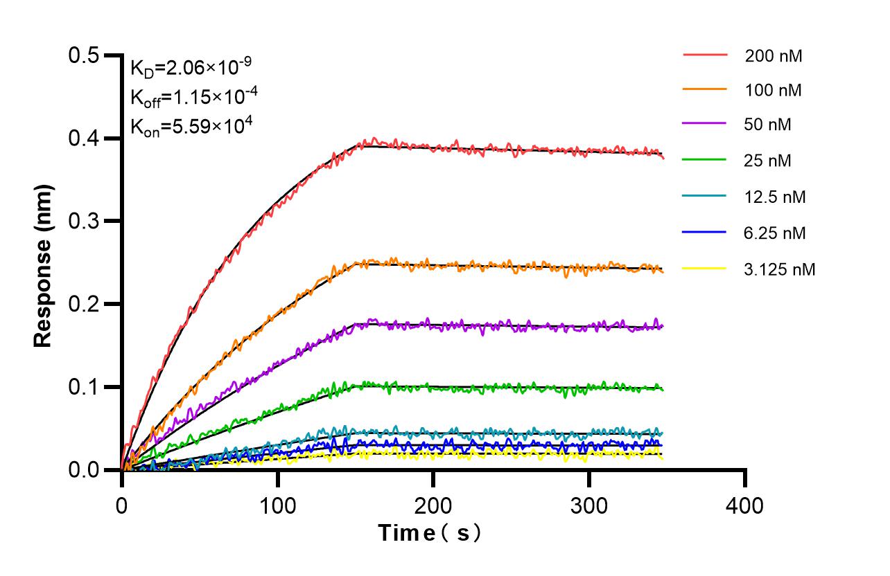 Affinity and Kinetic Characterization of 86917-1-RR