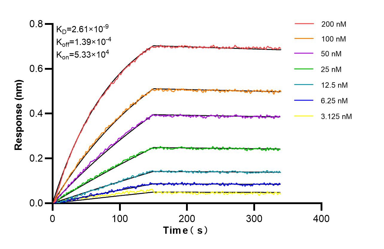 Biolayer interferometry (BLl) kinetic assays of 86928-4-RR against Human PEG10 were performed. The affinity constant is 2.61 nM. Affinity and Kinetic Characterization of 86928-4-RR