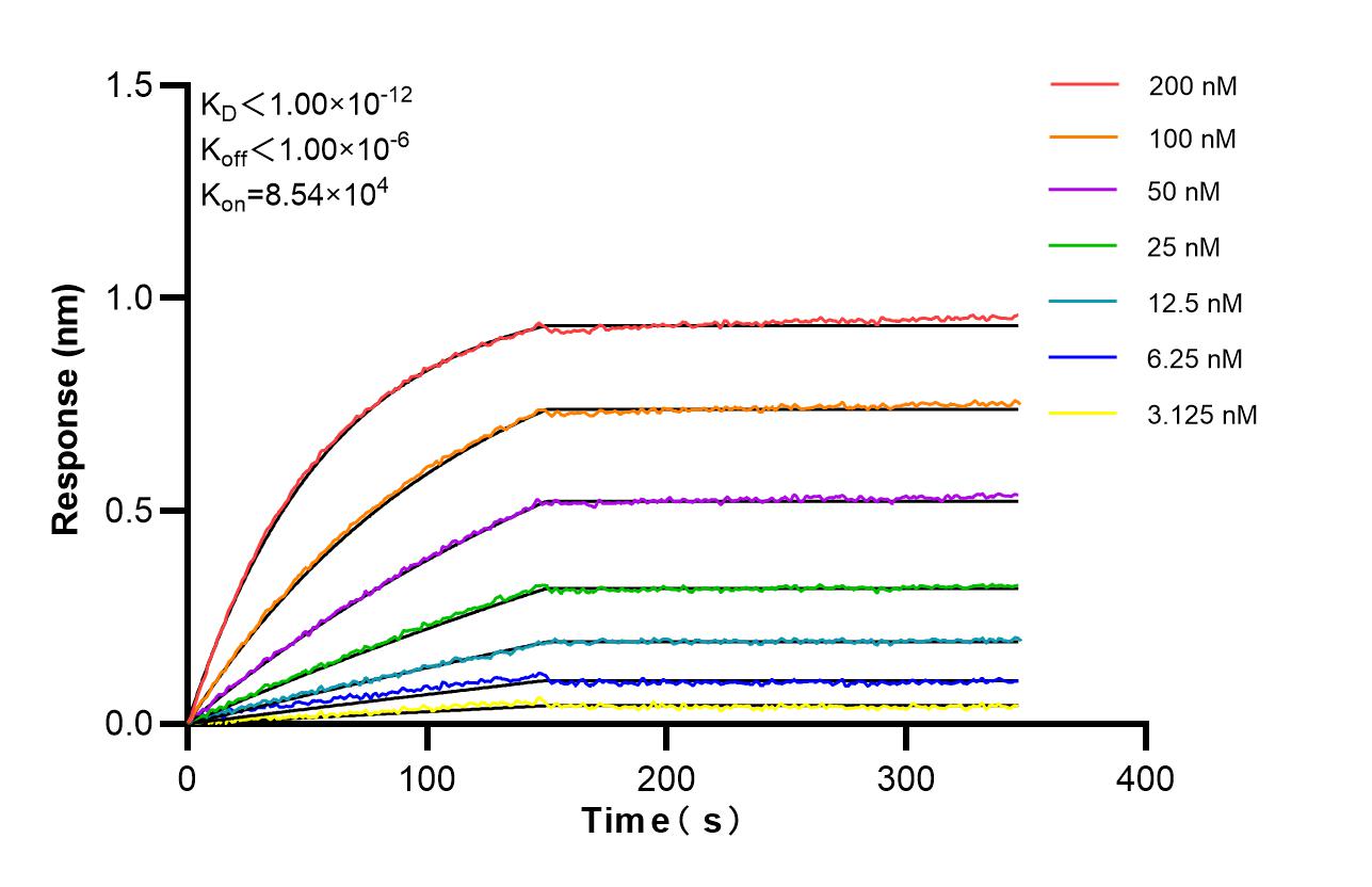 Affinity and Kinetic Characterization of 86930-1-RR