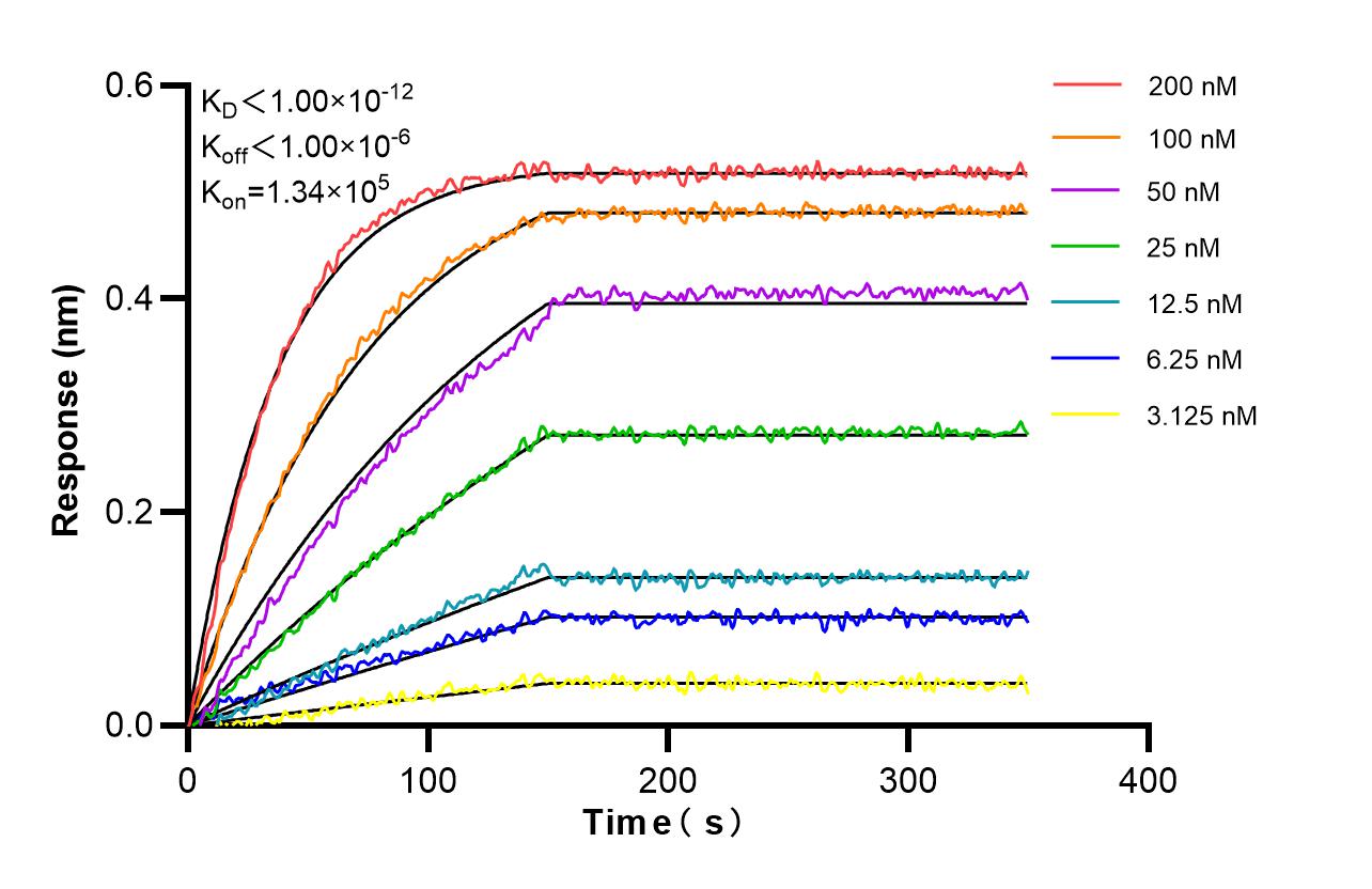 Affinity and Kinetic Characterization of 86933-2-RR