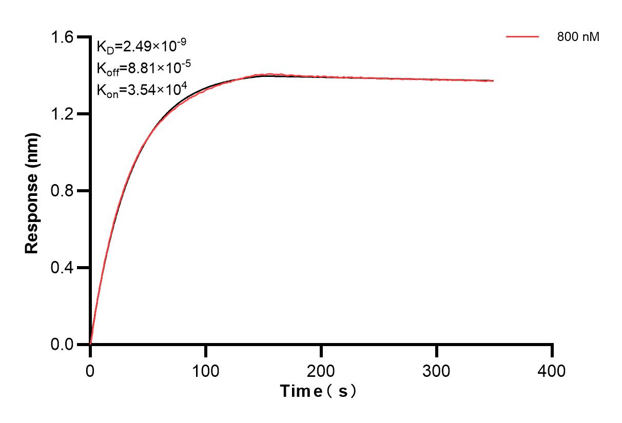 Biolayer interferometry (BLl) kinetic assay of 86938-3-PBS against Human COX5A were performed. The affinity constant is 2.49 nM. Affinity of 86938-3-PBS