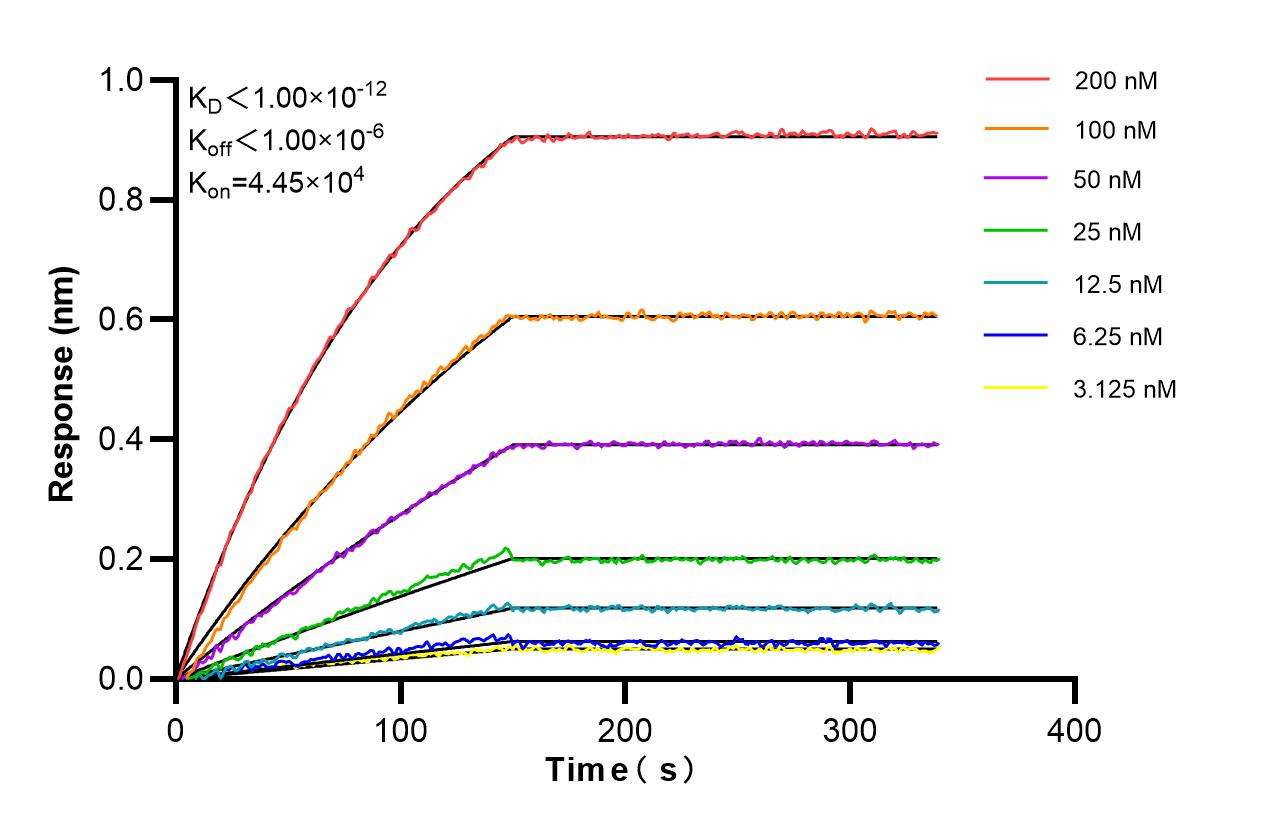 Affinity and Kinetic Characterization of 86948-1-RR
