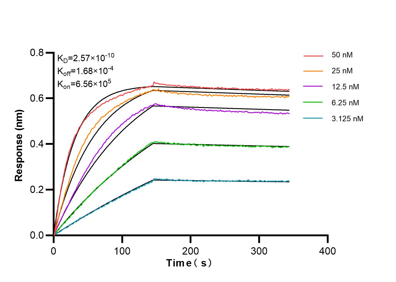 Affinity and Kinetic Characterization of 86955-1-RR