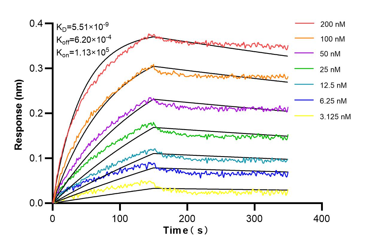 Affinity and Kinetic Characterization of 86987-1-RR