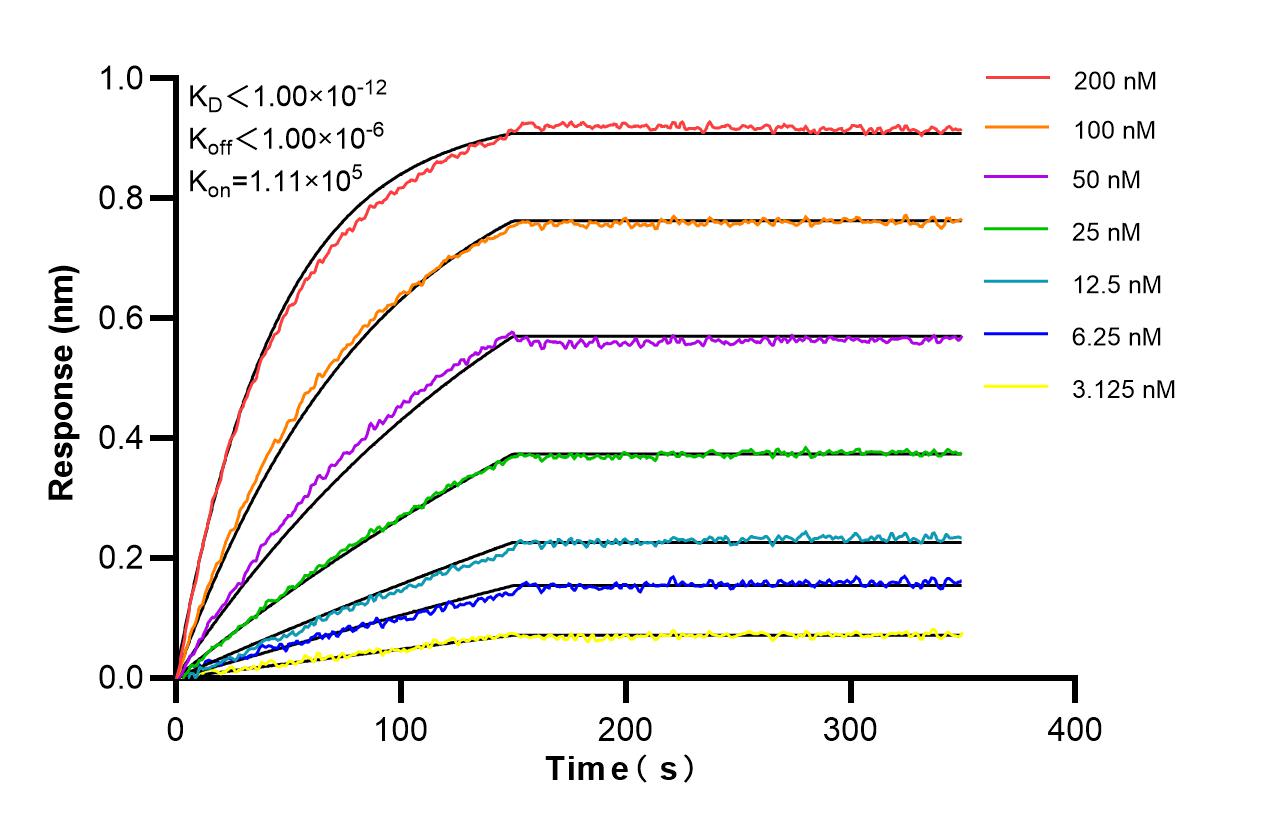 Affinity and Kinetic Characterization of 86988-1-RR