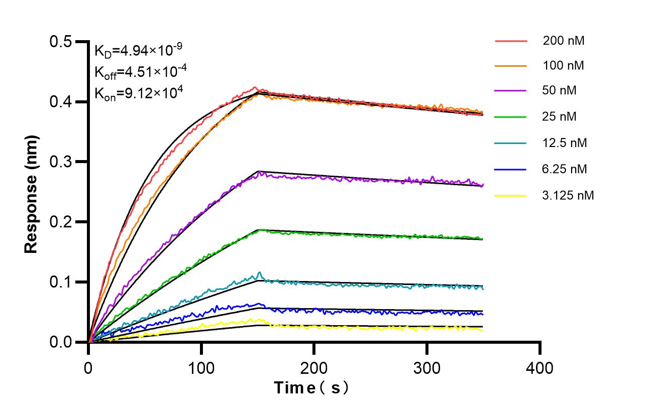 Affinity of 87009-3-RR Affinity of 87009-3-RR