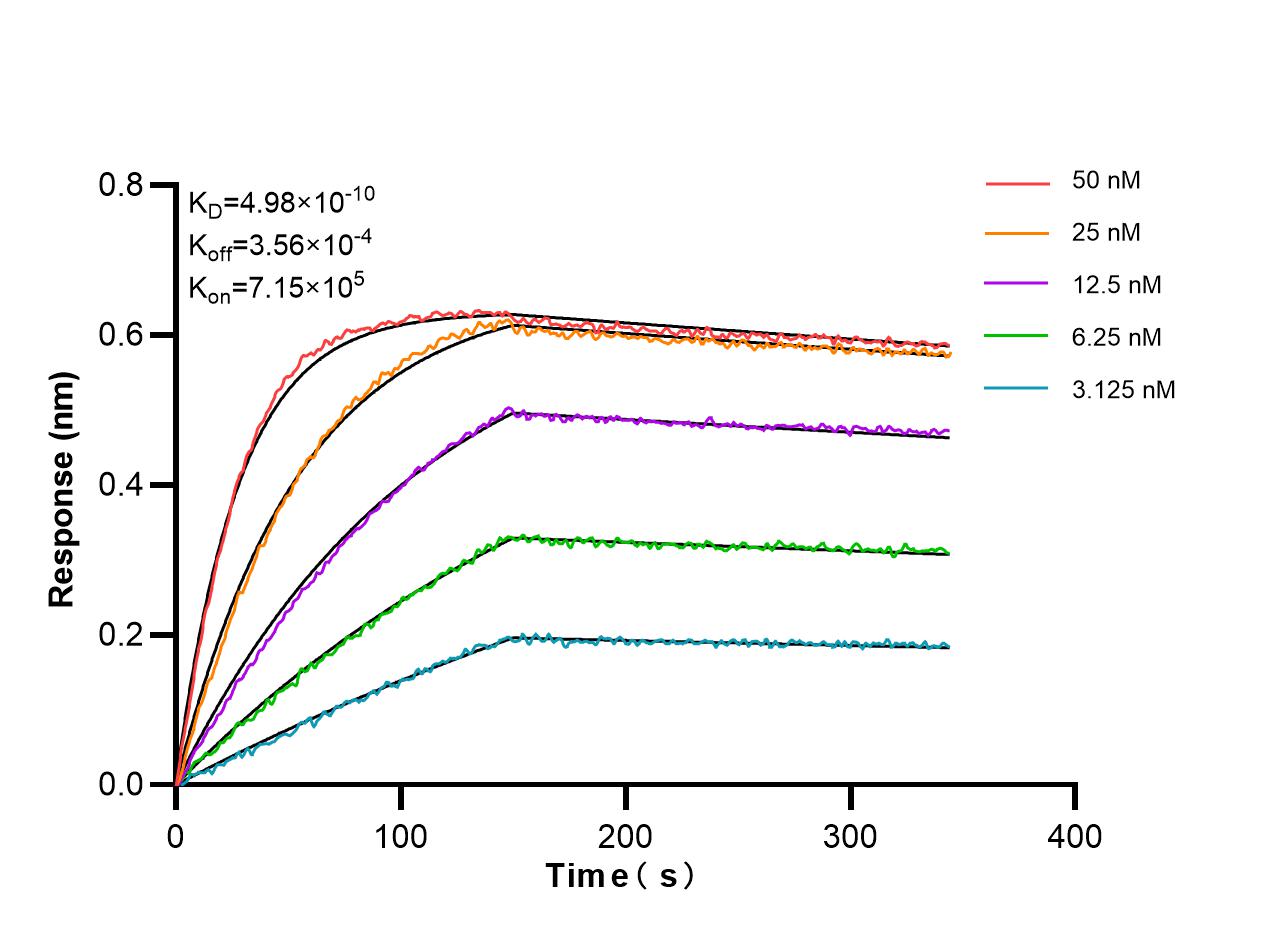 Biolayer interferometry (BLl) kinetic assays of 87015-1-RR against Human GALR2 were performed. The affinity constant is 0.498 nM. Affinity and Kinetic Characterization of 87015-1-RR