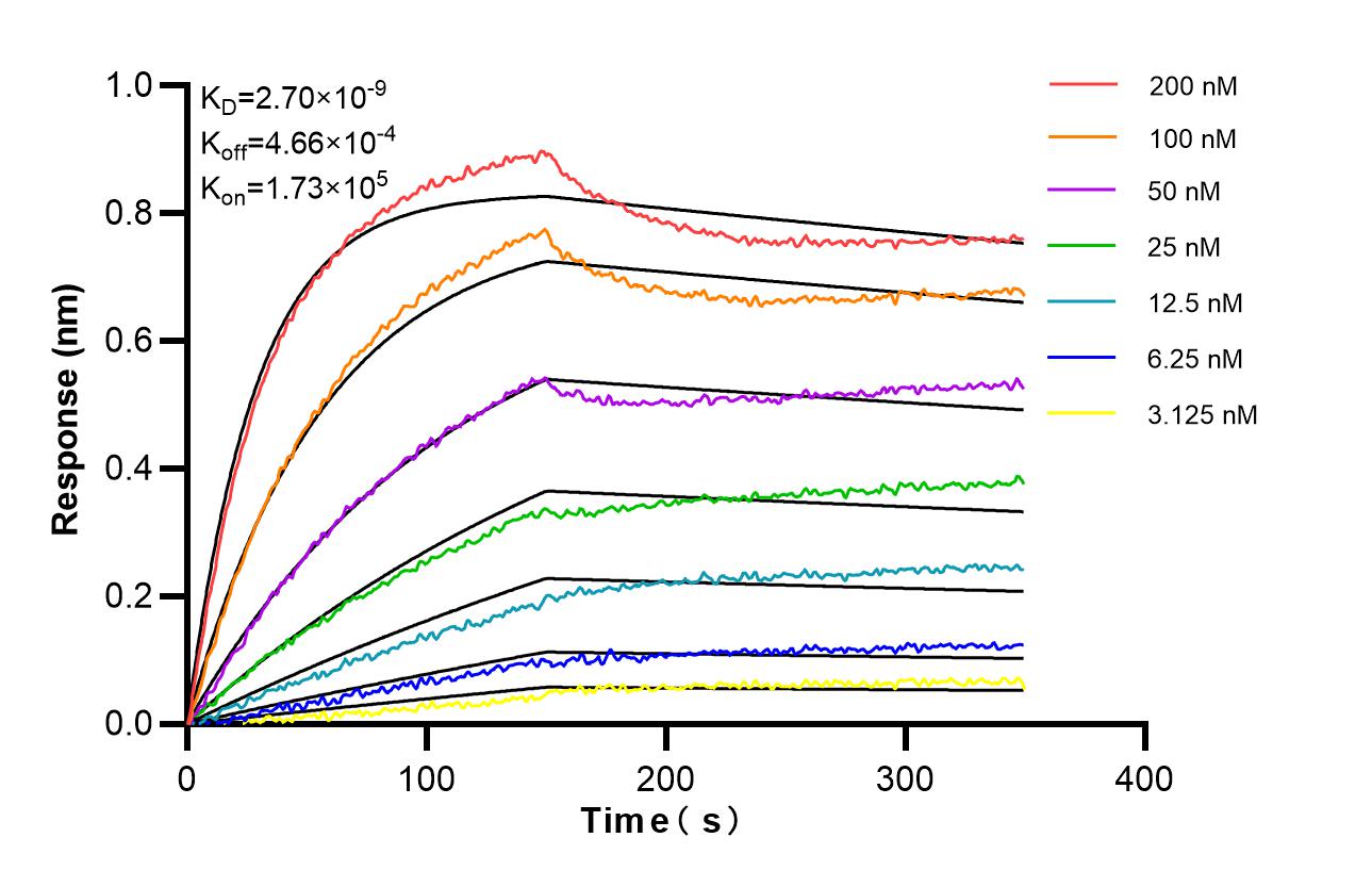 Affinity and Kinetic Characterization of 87016-1-RR
