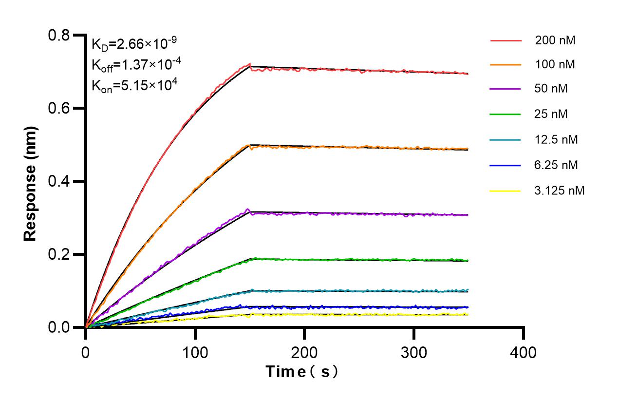 Biolayer interferometry (BLl) kinetic assays of <a class='green' href='/productredirect?CatalogNo=87023-4-RR' target='_blank'>87023-4-RR</a> against Human BMX were performed. The affinity constant is 2.66 nM. Affinity of 87023-4-RR