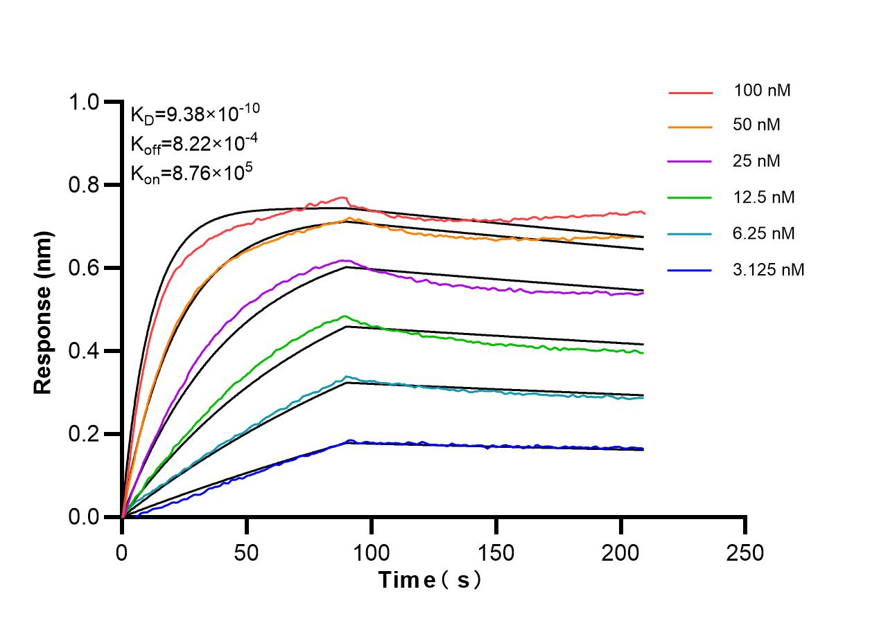 Affinity of 87030-3-RR