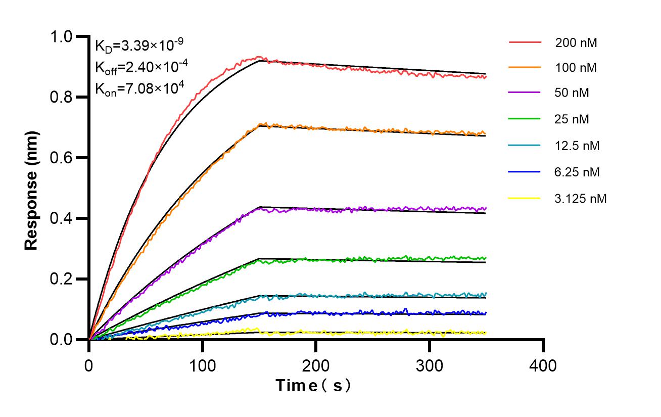 Affinity and Kinetic Characterization of 87040-1-RR