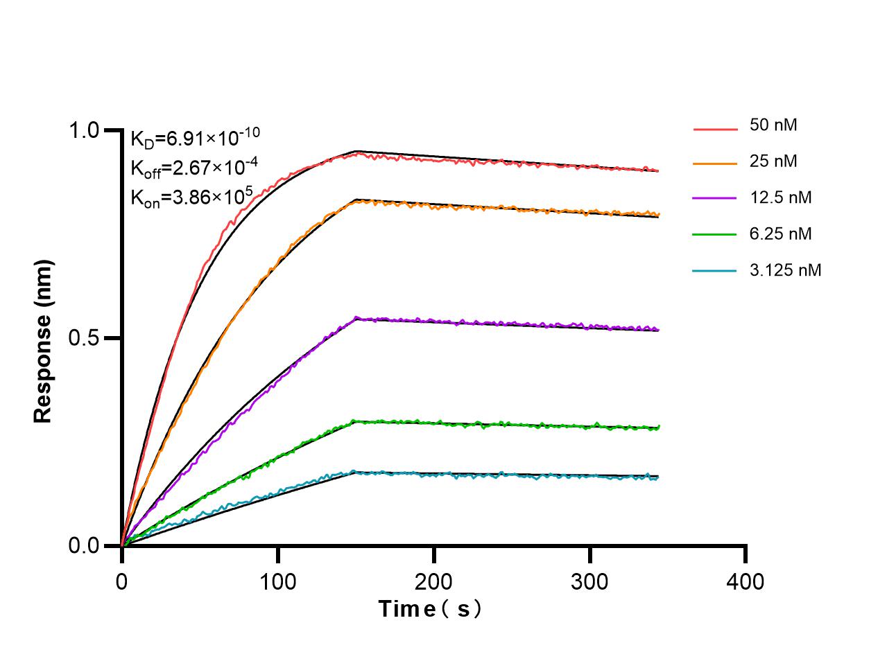 Affinity and Kinetic Characterization of 87046-1-RR
