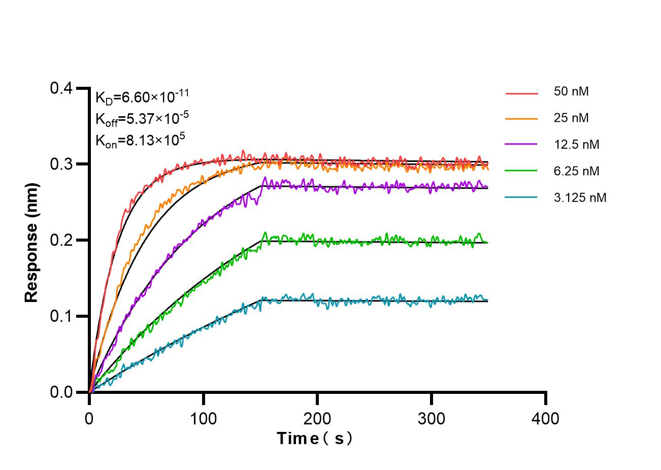 Affinity and Kinetic Characterization of 87051-3-RR