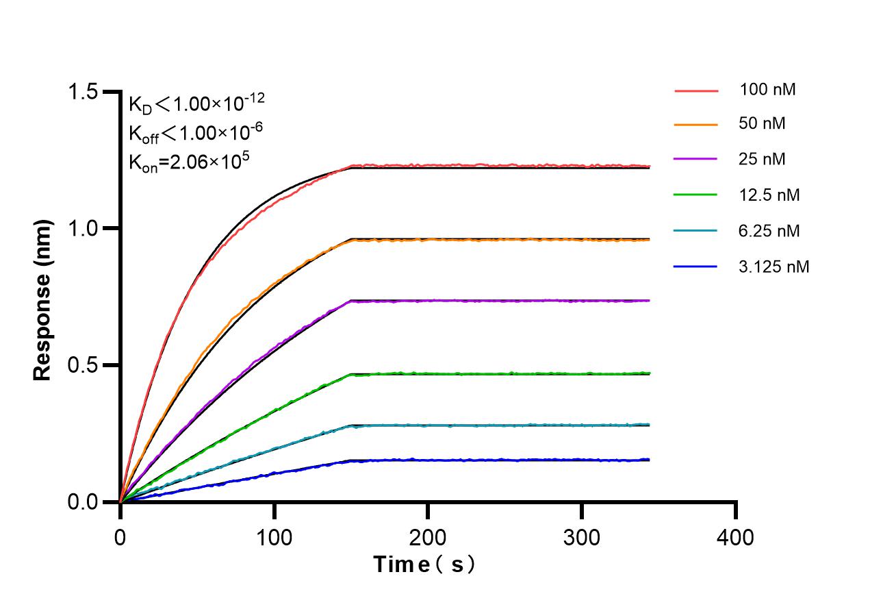 Affinity of 87068-4-RR Affinity of 87068-4-RR