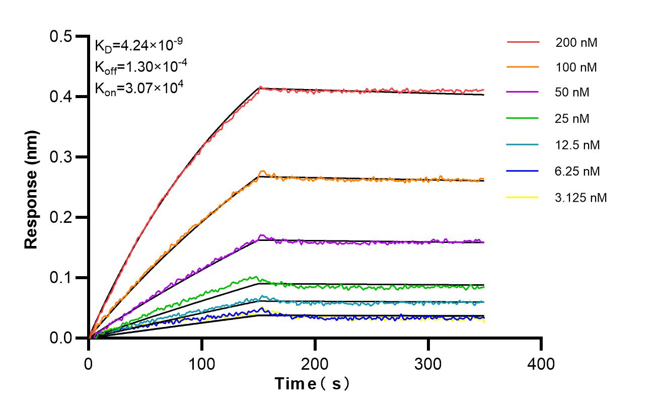 Affinity and Kinetic Characterization of 87072-1-RR Affinity and Kinetic Characterization of 87072-1-RR
