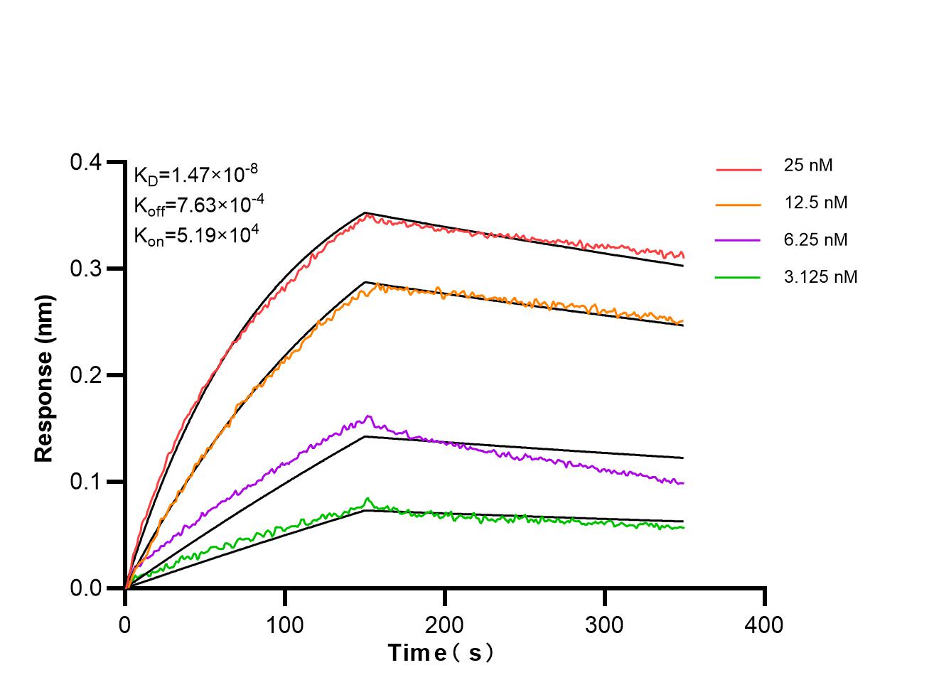 Affinity and Kinetic Characterization of 87083-1-RR