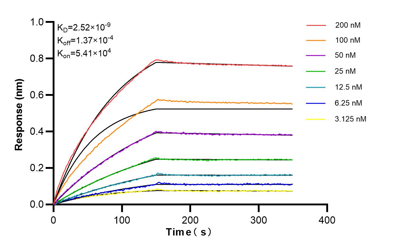 Affinity and Kinetic Characterization of 87094-1-RR Affinity and Kinetic Characterization of 87094-1-RR