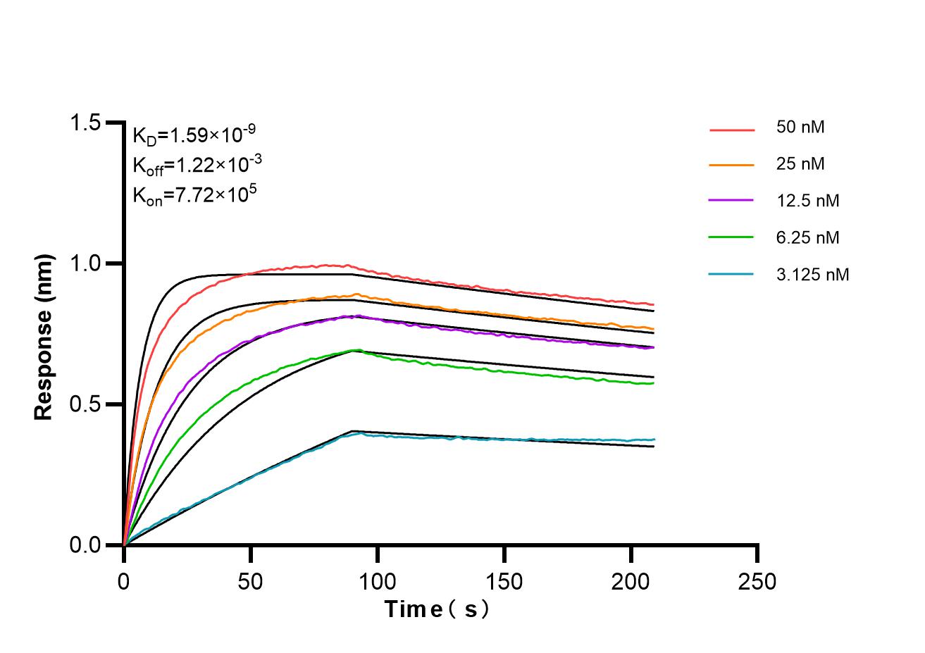 Affinity and Kinetic Characterization of 87095-1-RR