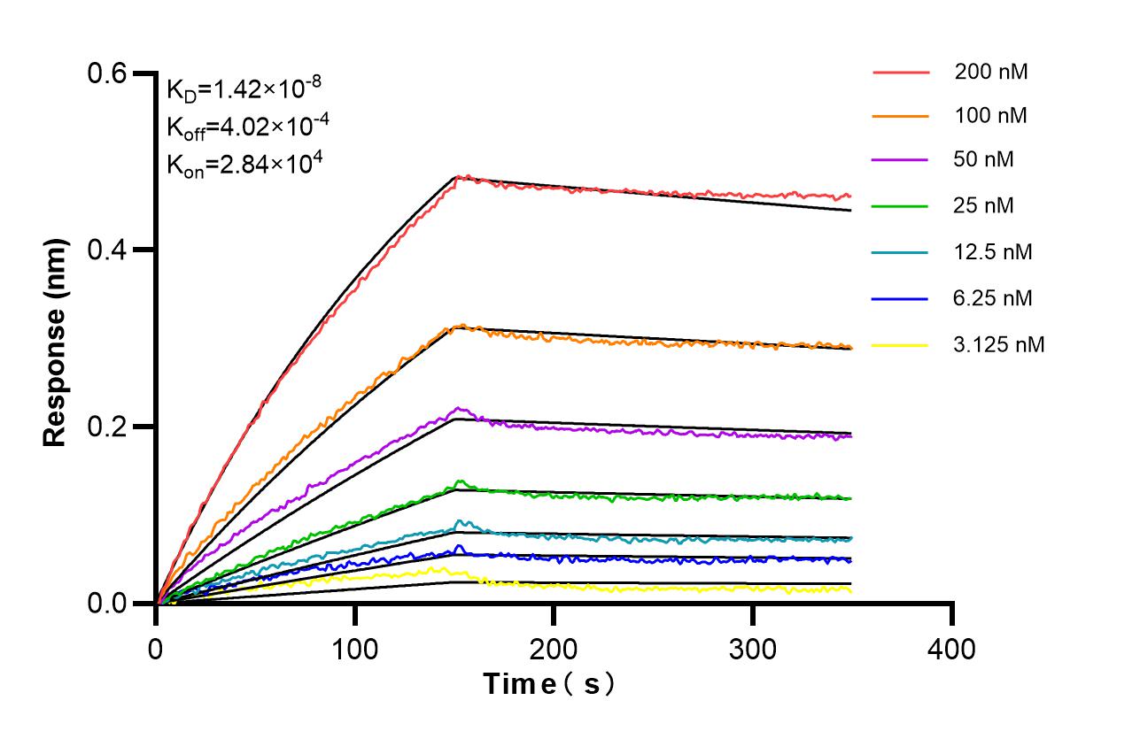 Affinity of 87105-1-RR