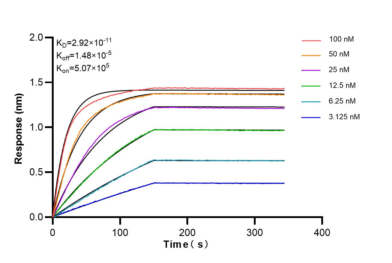 Affinity of 87106-3-RR