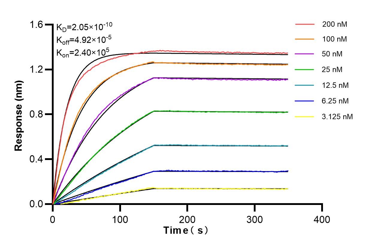 Affinity of 87108-1-RR