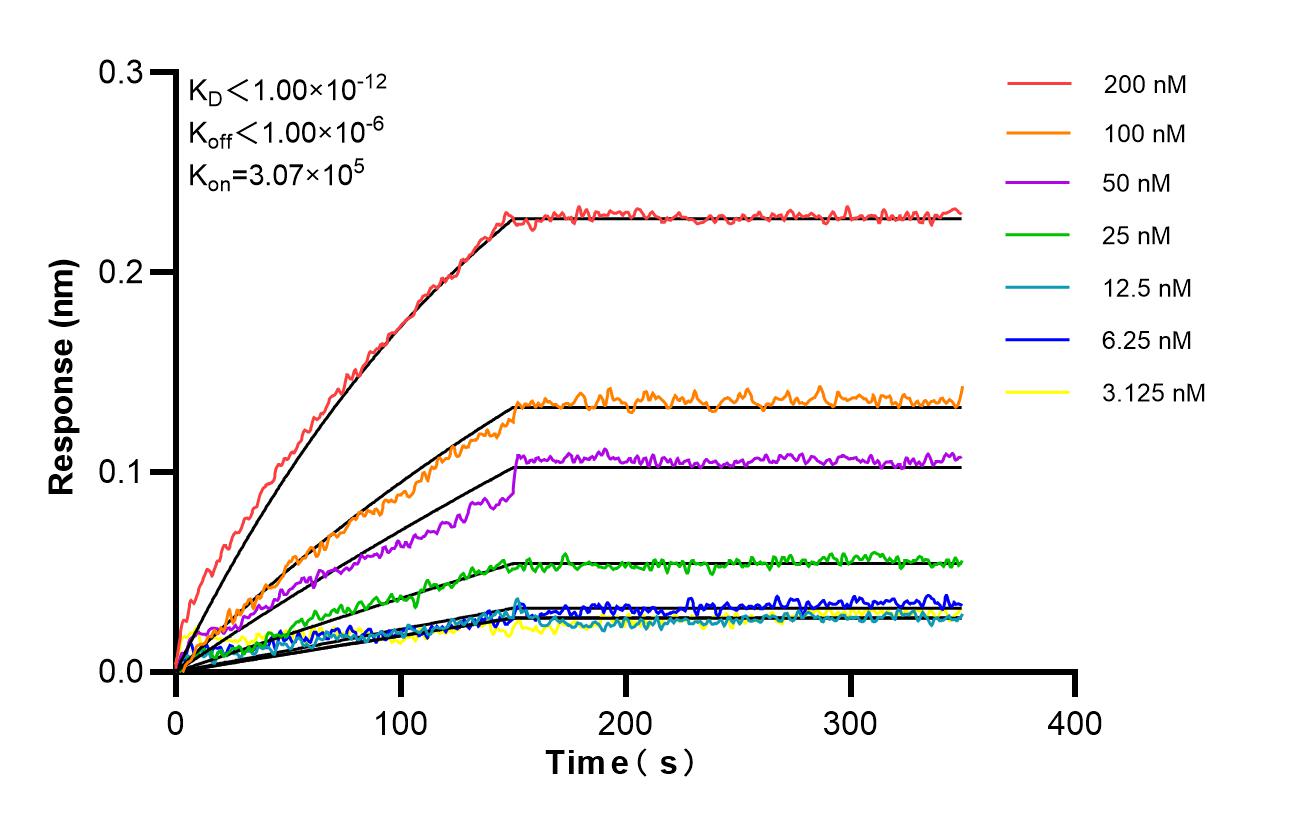 Affinity and Kinetic Characterization of 87113-1-RR Affinity and Kinetic Characterization of 87113-1-RR