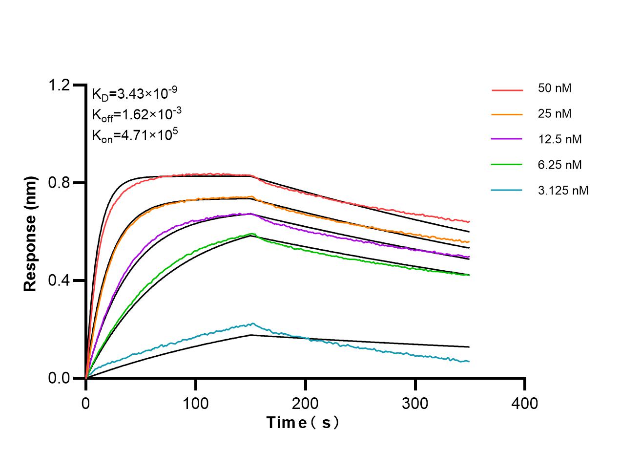 Affinity of 87123-1-RR Affinity of 87123-1-RR
