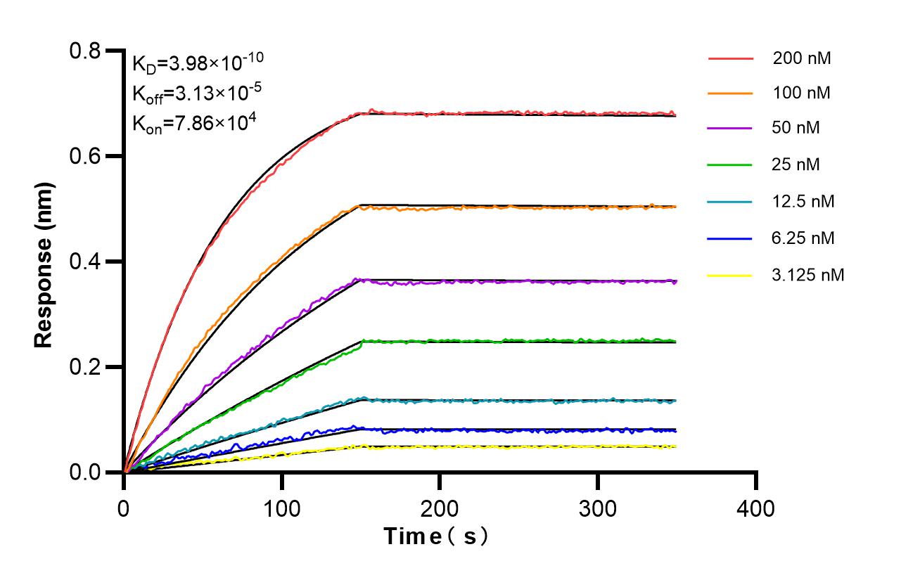 Affinity of 87134-1-RR