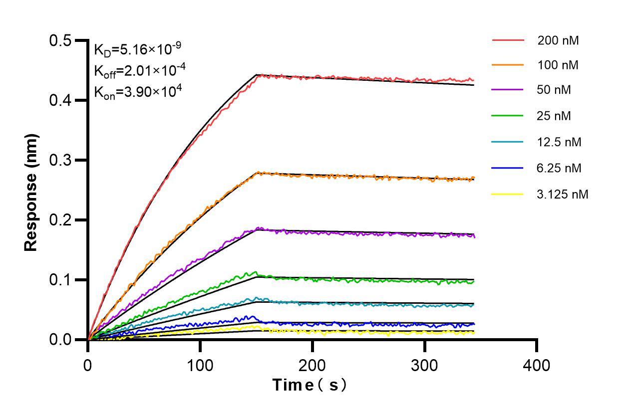 Affinity of 87135-1-RR Affinity of 87135-1-RR