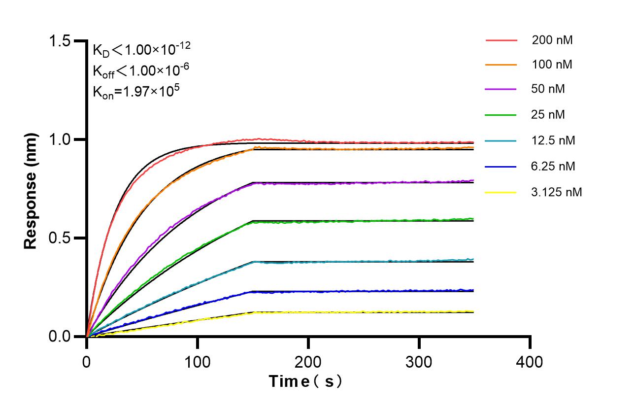 Affinity of 87171-1-RR