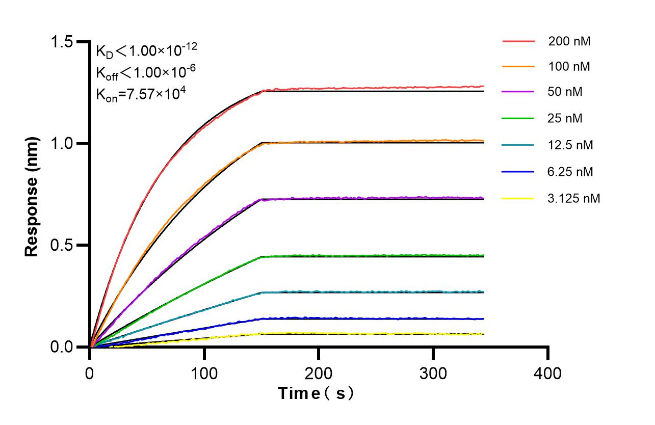 Affinity of 87178-4-RR