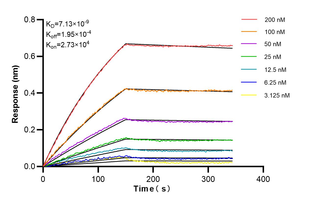 Affinity of 87183-1-RR