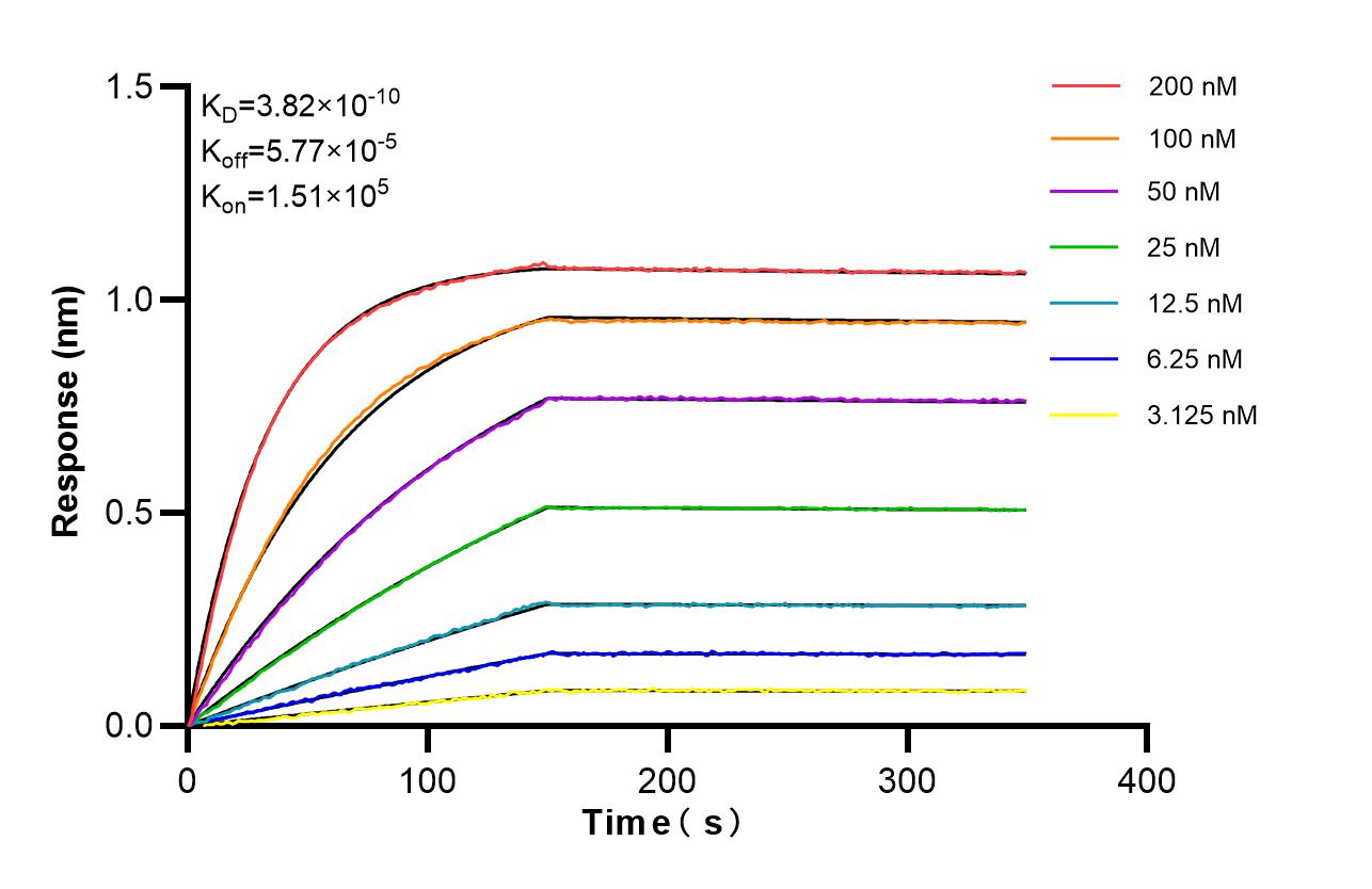Affinity of 87187-3-RR Affinity of 87187-3-RR