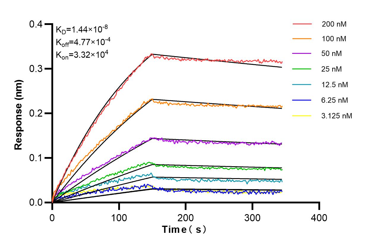 Affinity of 87197-1-RR
