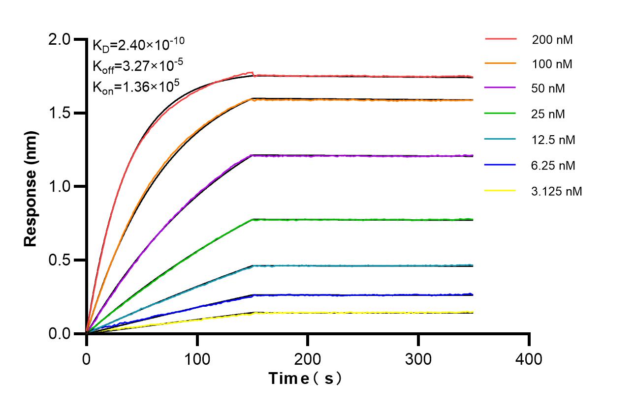 Affinity of 87198-1-RR