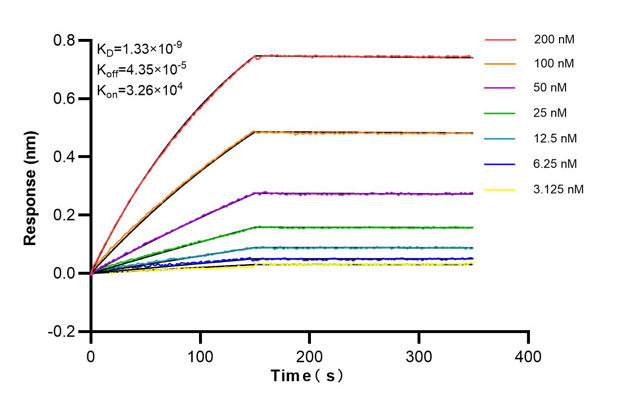 Affinity of 87227-1-RR