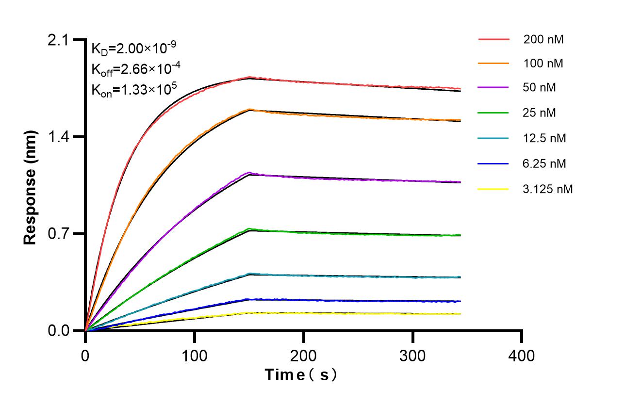Affinity of 87269-1-RR