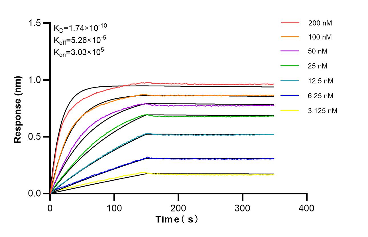 Affinity of 87275-3-RR