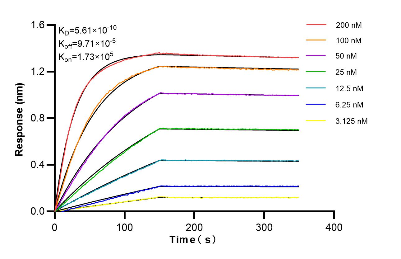 Affinity of 87319-1-RR