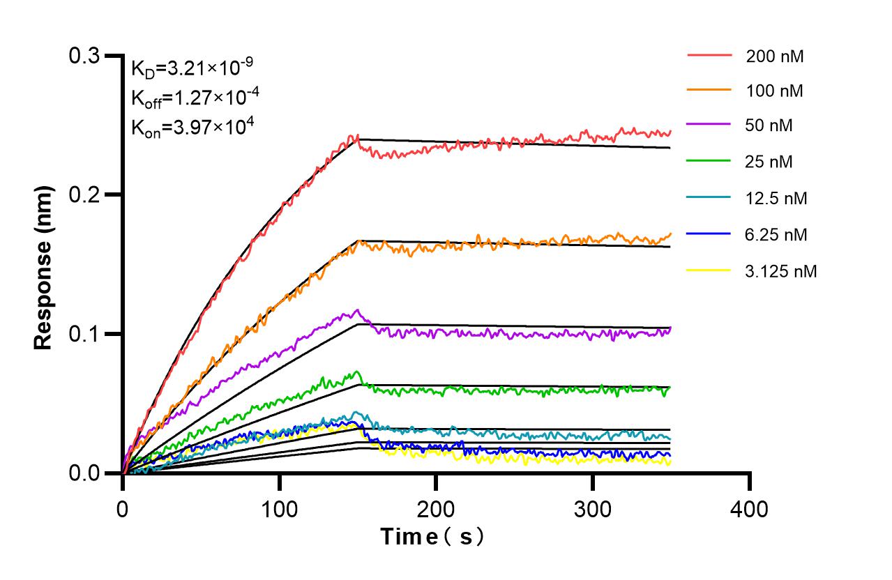 Affinity of 87321-1-RR Affinity of 87321-1-RR