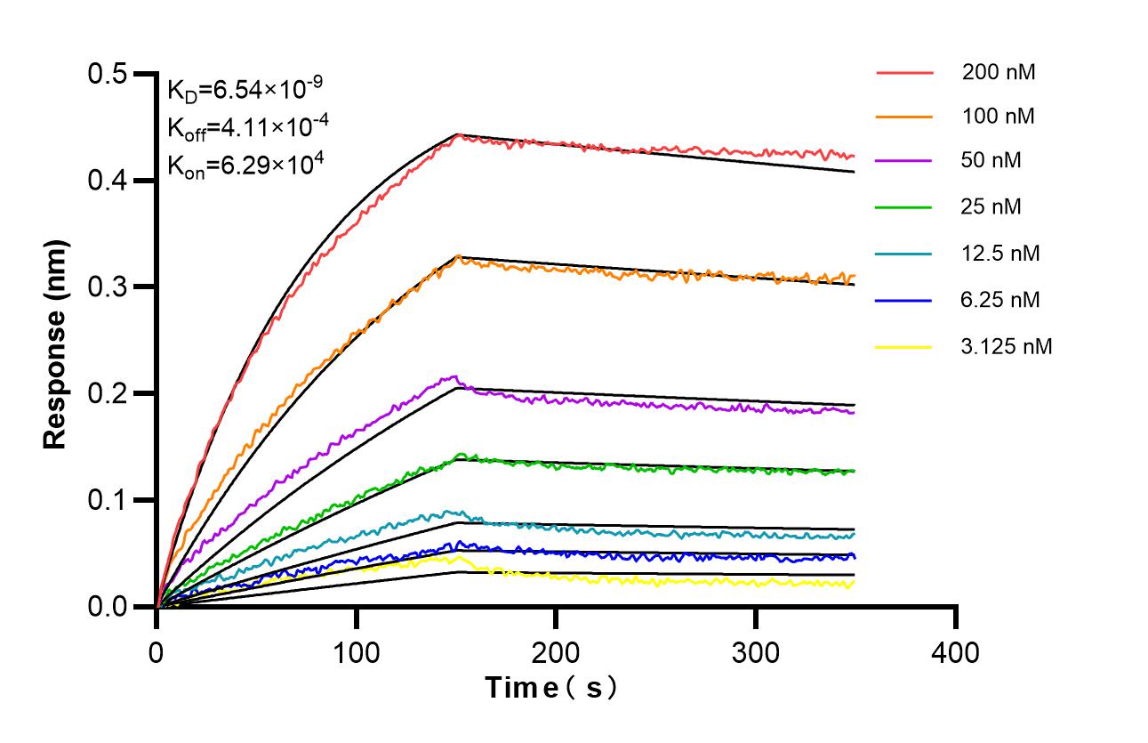 Affinity of 87344-1-RR