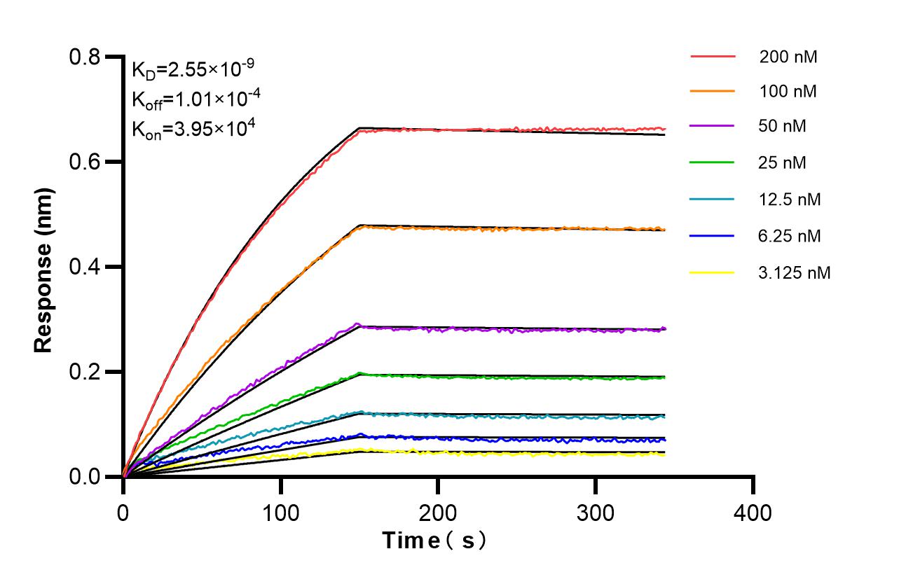 Affinity and Kinetic Characterization of 87348-2-RR Affinity and Kinetic Characterization of 87348-2-RR
