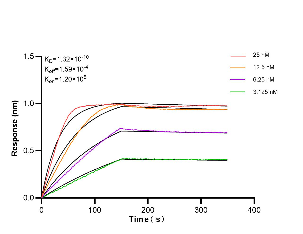 Affinity of 87372-1-RR Affinity of 87372-1-RR