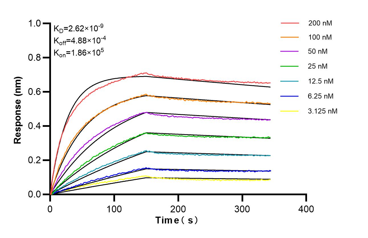 Affinity of 87374-3-RR
