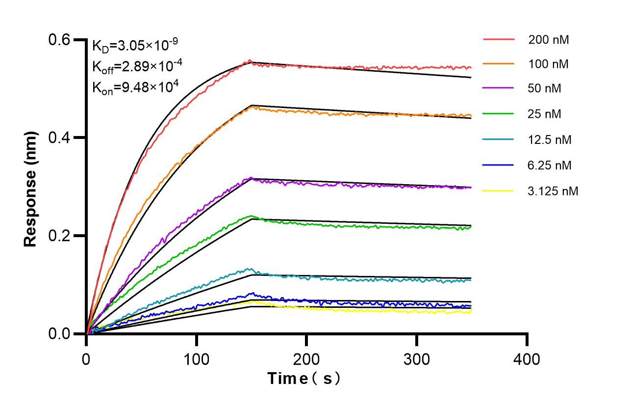 Affinity of 87378-1-RR
