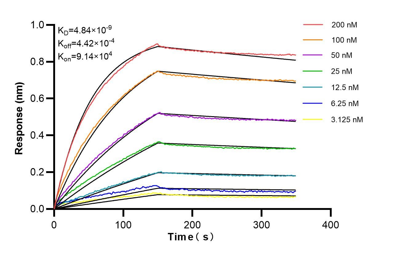 Affinity of 87379-1-RR