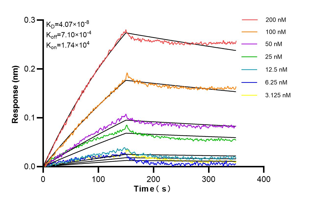 Affinity of 87384-1-RR
